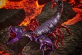 F0677_DIO_TRA_GEN_WFC_K_DELUXE_Scorponok_4_Online_2000SQ
