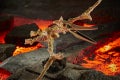 F0679_DIO_TRA_GEN_WFC_K_DELUXE_Wingfinger_1_Online_2000SQ