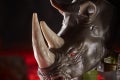 F0695_DIO_TRA_GEN_WFC_K_VOYAGER_Rhinox_5_Online_2000SQ