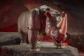 F0695_DIO_TRA_GEN_WFC_K_VOYAGER_Rhinox_8_Online_2000SQ