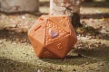 F5213_DIO_DD_COLLECTIBLE_ORANGE_BEHOLDER_051_Online_2000SQ