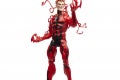HASBRO MARVEL LEGENDS SERIES SPIDER-MAN & CARNAGE 18