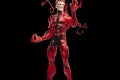 HASBRO MARVEL LEGENDS SERIES SPIDER-MAN & CARNAGE 19