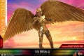 Hot Toys - WW84 - Golden Armor Wonder Woman collectible figure (Deluxe)_PR5