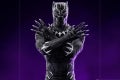 Black Panther Deluxe-IS_05