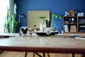 21317_LEGO_IDEAS_2HY19_envr
