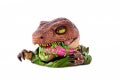 Raptor_MON_TA_0001__R3_2218.CR2_1024x1024