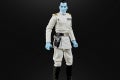 BLACK SERIES ARCHIVE GRAND THRAWN oop4