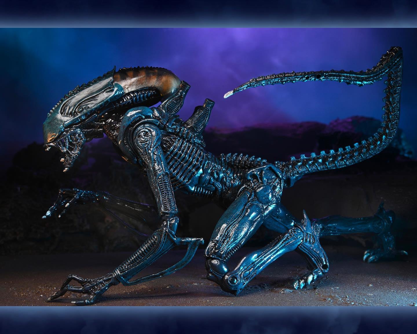 neca エイリアン　avp NECA Alien vs Predator AVP Series 1 Alien Warrior Action
