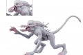 NeoMorph3