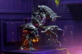 Rhino16