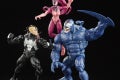 Marvel Legends Series Venom Multipack 1