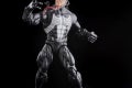 Marvel Legends Series Venom Multipack 2