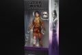EZRA BRIDGER - in pck (2)