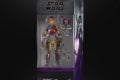 SABINE WREN - in pck (1)