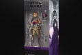 SABINE WREN - in pck (2)
