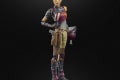 SABINE WREN - oop (1)