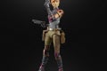 SABINE WREN - oop (2)
