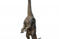 Brachiosaurus-IS_10