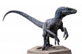 Velociraptor-Blue B-IS_10