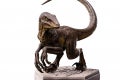 Velociraptor C-IS_09