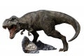 T-Rex-Icons-IS_10