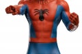 Spider-Man 60-DLX-IS_18