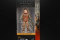 STAR WARS THE BLACK SERIES 6-INCH KUIIL Figure - in pck (1)