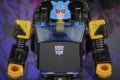 F2704_PROD_TRA_GEN_GOLDBUG_0012_Online_2000SQ