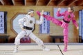 F7768_DIO_PRG_Daniel LaRusso_F7772_0019