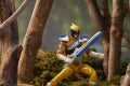 E7757_DIO_PRG_S20_LCDCGolddRanger_30