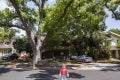 bttf_georgepeepintree_pm_51201389623_o