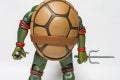 raph_08_51181415219_o