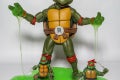 raph_11_51180842028_o