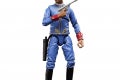 STAR WARS THE VINTAGE COLLECTION 3.75-INCH BESPIN SECURITY GUARD (ISDAM EDIAN) Figure 10