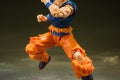 img_detail_songoku_03