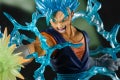 img_detail_vegito_01