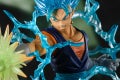 img_detail_vegito_02