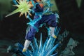 img_detail_vegito_04