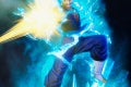 img_detail_vegito_05