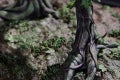 cig-cozy-gallery-884GyN-WITCHER_LESHEN_FIGURE_PHOTO13_FOOTER-xl