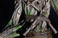 cig-cozy-gallery-884L3a-WITCHER_LESHEN_FIGURE_PHOTO16_FOOTER-xl