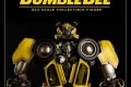 1bumblebee3A11