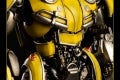 1bumblebee3A12