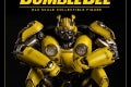 1bumblebee3A14