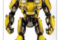 1bumblebee3A17