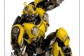 1bumblebee3A20