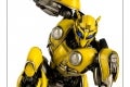 1bumblebee3A21