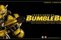 1bumblebee3A5