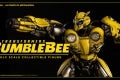 1bumblebee3A6
